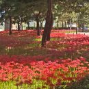 배영곡 | 기다리면 온대? 그럼 기다리고(10월)