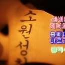 팔도사