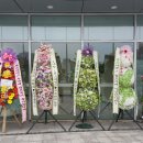 더월드체육관 이미지