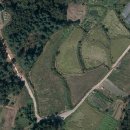 조영무선생 묘역 이미지