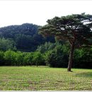 운교1리 이미지