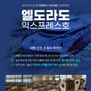 울릉행복투어