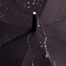 폭스(FOX) 이미지