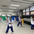 고려대 김세원 태권도 이미지