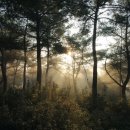 모닝식품