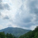 7월9일(수)유명산 자연휴양림 이미지