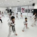 현 태권도장 이미지