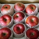 김무웅농장 이미지