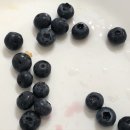 삼우그린슈퍼 | 7月 채식인이 사는 이야기