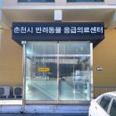 강원대학교 야생동물구조센터 이미지