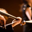 소수집중 바이올린 이미지