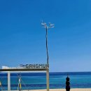 진또배기 이미지