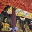 보천사 - 1690 | [서울여행] 가을 '국화화엄축제'로 찾아간 조계사