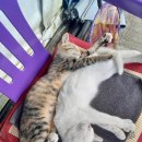 배내미낚시터 이미지