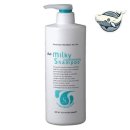 샴푸헤어 이미지