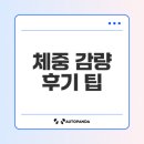 미래비젼 | 체중 감량 후기: 성공적인 다이어트를 위한 임팩트 있는 팁
