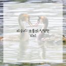 SNS 활용법 이미지