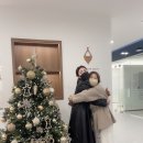 꽃길인셀덤