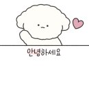 포시즌상동