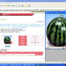 광고글 아니에요 ~ ^^ (그냥 이 수박이 맛있어 서요.) 이미지