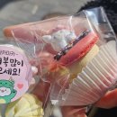 마카로또 이미지