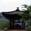 국보31호 이미지