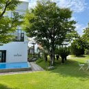 신진비디오 이미지