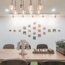 너와펫(PET) 이미지