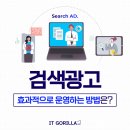 아이티고릴라 - 17756 | 아이티고릴라
