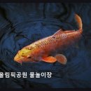 수원올림픽공원 | 수원 수영장 추천 수원올림픽공원 물놀이장 무료 이용 가능한 인기 물놀이장
