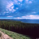 옐로우스톤 이미지