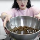 도토리야식