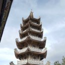 동양관광여행사 이미지