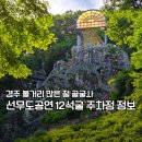 골굴사 | 경주 골굴사 볼거리 많은 절 후기, 선무도 공연 12석굴 주차장 정보
