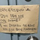 호호다실 이미지