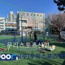 일산중학교 이미지