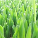 사랑비디오 이미지