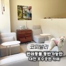 코피발리 | 대전 호수공원 카페 코피발리｜애견동반 가능한 감성 디저트 카페