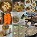 우일목장 | 10/14~10/20 (다치지말자ㅠㅠ / 친구들과 데이트 / 여행 후 몸살)