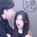 성환애견 백화점 | 돼지런한 일주일 [22.09 _2st]