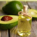 아보카도 이미지