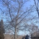 천리포수목원 | 겨울 천리포, 쉼의 문장을 쓰다-천리포수목원 1박2일 여행후기