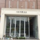 나무아래모모