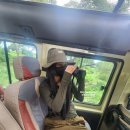 꿈꾸는 기린 약국 | 아프리카 신혼여행 6탄 - 타랑기레 국립공원 방문 시 알아두면 좋을 정보 및 차량 주의사항 후기