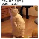 TS타이어 이미지