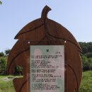 수변공원(1) 이미지