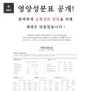 디디테이블 이미지