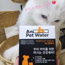 애니펫 | 고양이냄새제거 애니 펫 워터 콩두부 급여후기