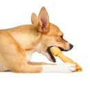 킴스덴탈 이미지