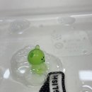 센타프라자510호